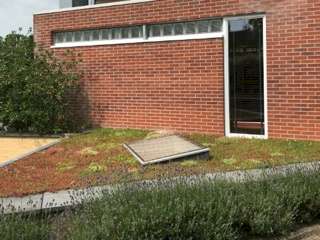 Groendak Vlakkelichtkoepel