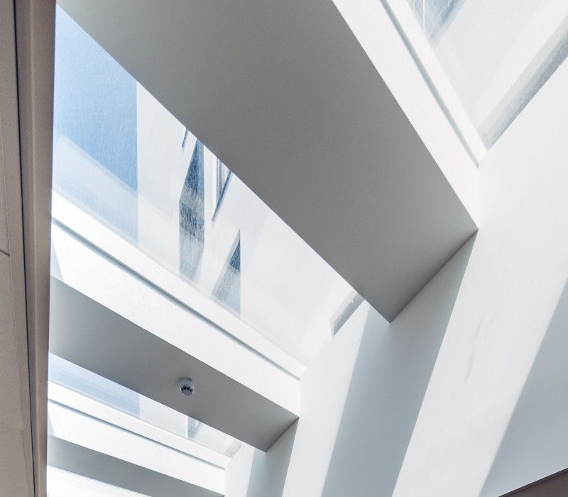 Vlakkelichtkoepel inspiratie