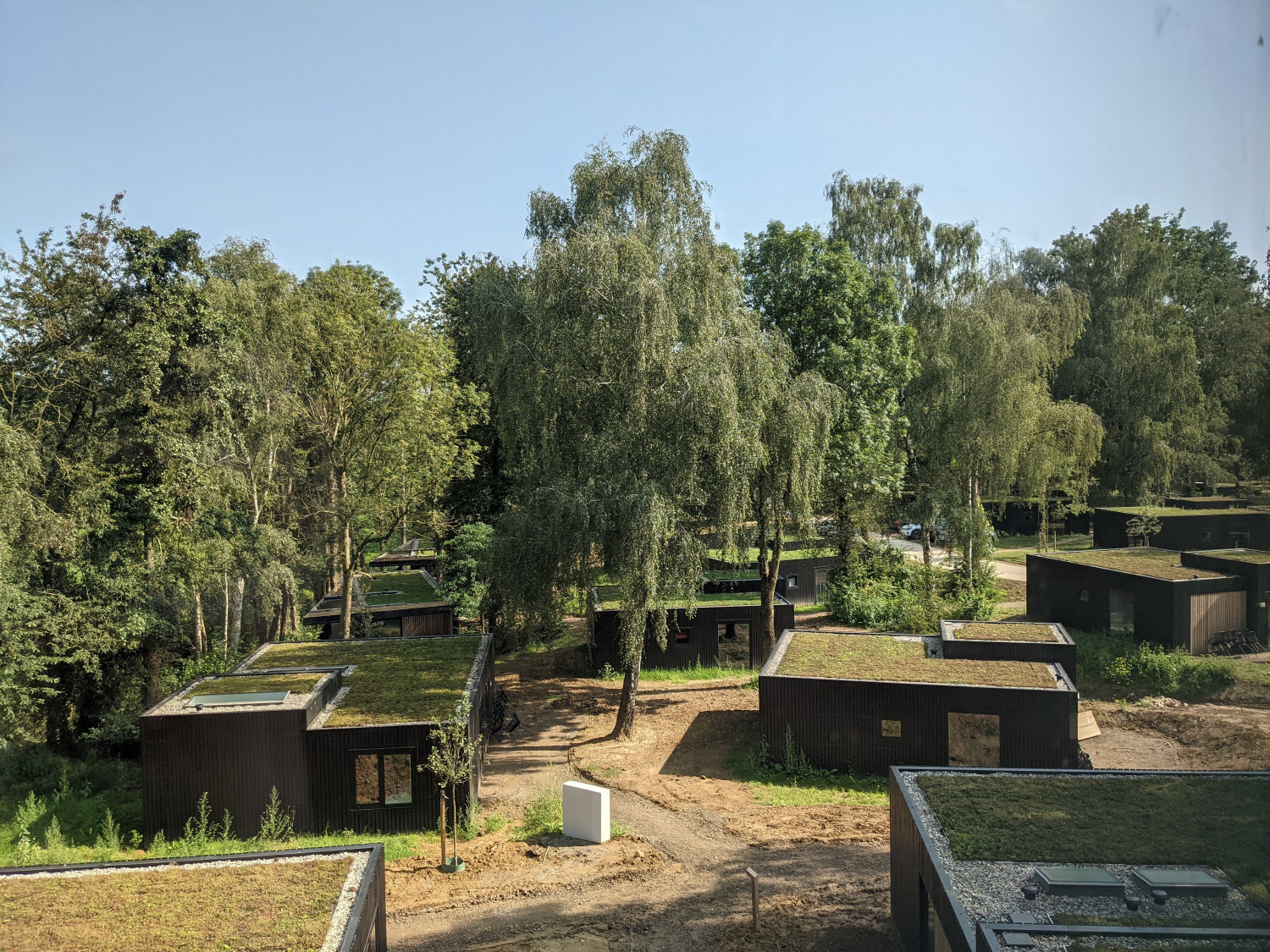 Vlakkelichtkoepel op een sedumdak